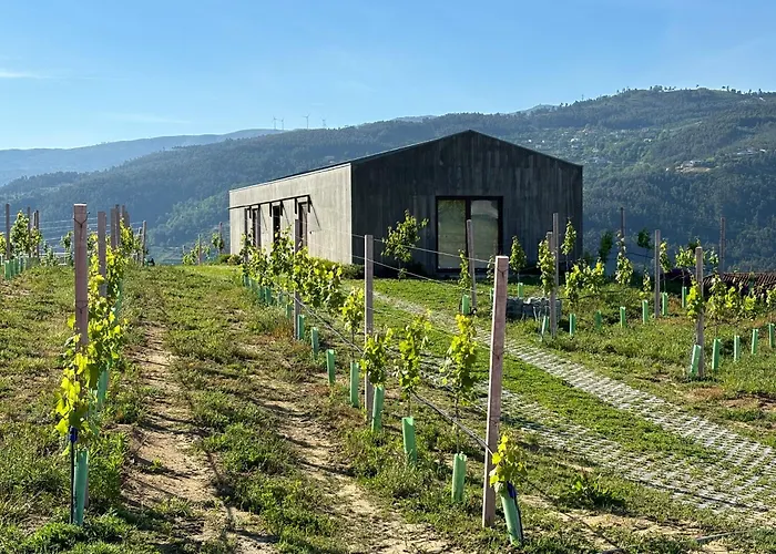 Appartamento Refugio Douro Marco de Canavezes